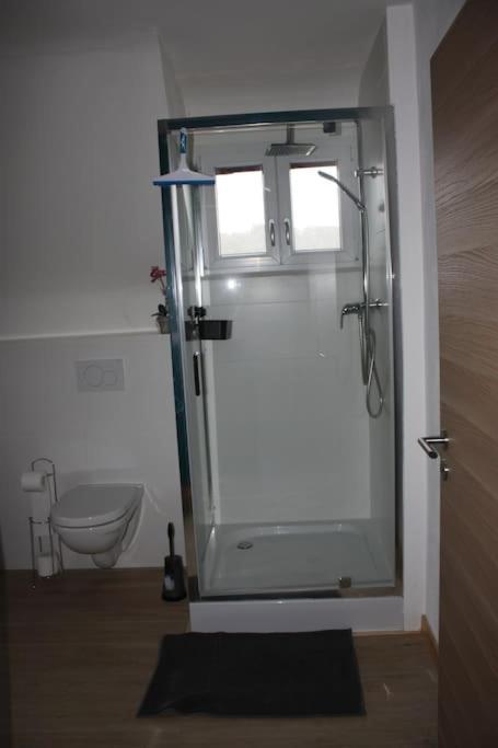 Eifelhaeusje Schaefer Apartment *